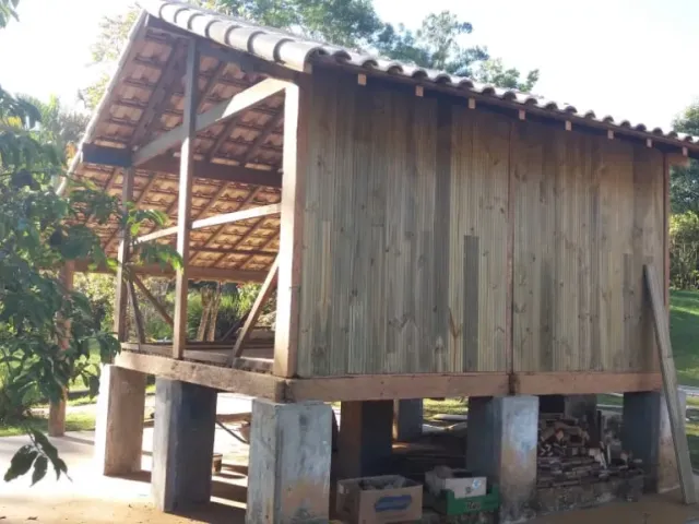 Assoalho de pinus tratado: qualidade, versatilidade e sustentabilidade