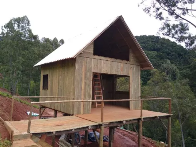 Assoalho de pinus tratado: qualidade, versatilidade e sustentabilidade