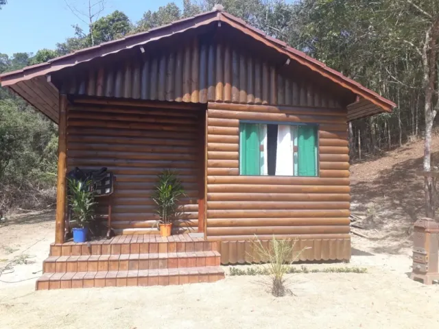 Meia Tora de Pinus Tratada: rusticidade e durabilidade para projetos especiais