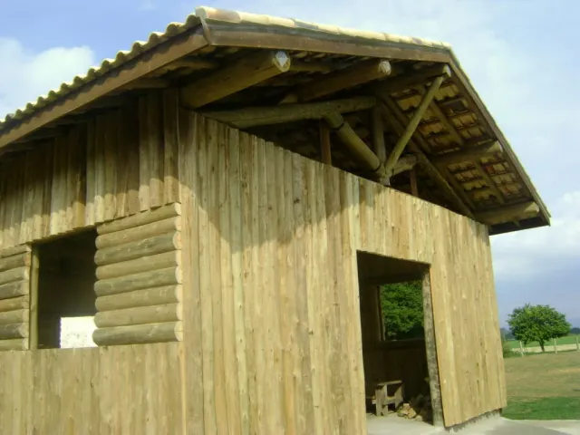 Costaneira de eucalipto