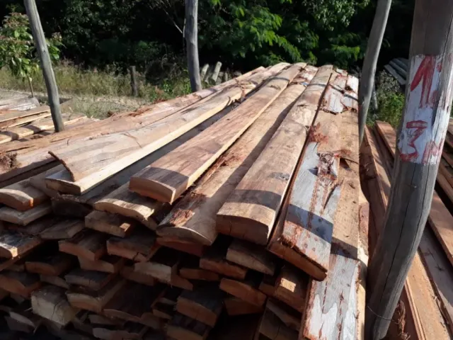 Costaneira de eucalipto